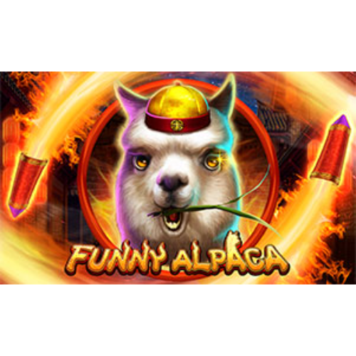 Funny Alpaca