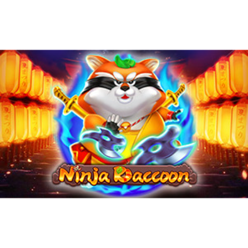 Ninja Raccoon