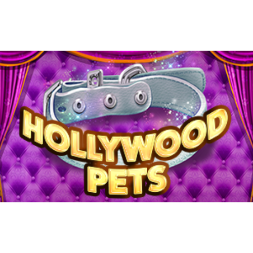 Hollywood Pets