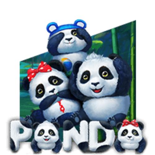 Pom-Pom Pandas