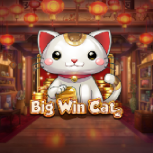 Big Win Cat