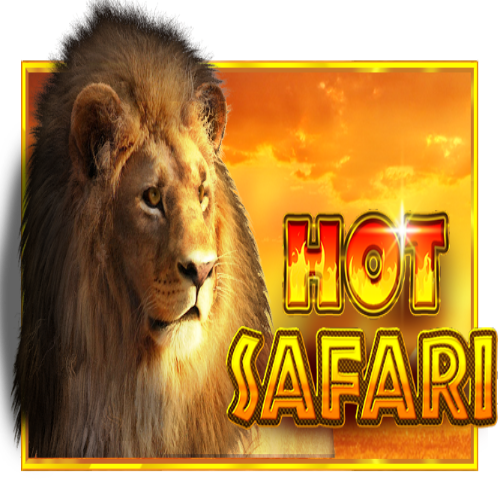 Hot Safari