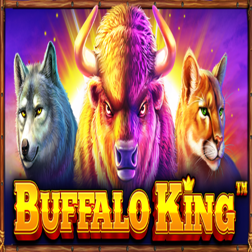 Buffalo King