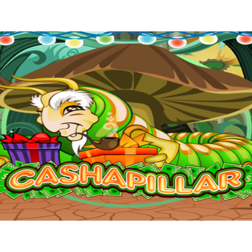 Cashapillar