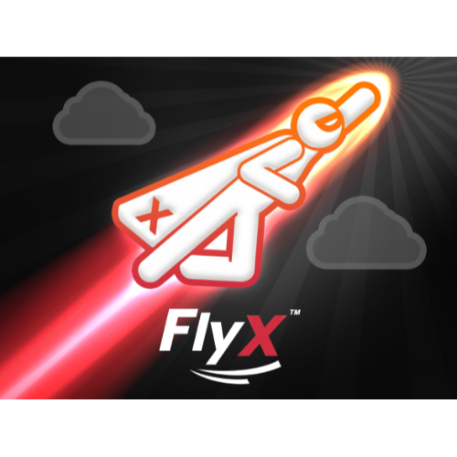 FlyX