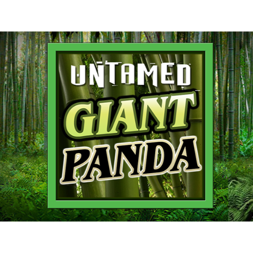 Untamed - Giant Panda