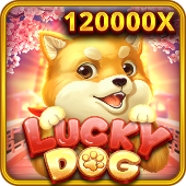 Lucky Dog