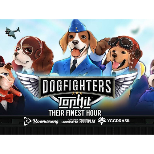 Dog Fighters - Their Finest Hour