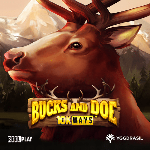 Bucks and Doe 10K Ways