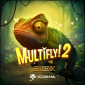 MultiFly! 2 MultiMax
