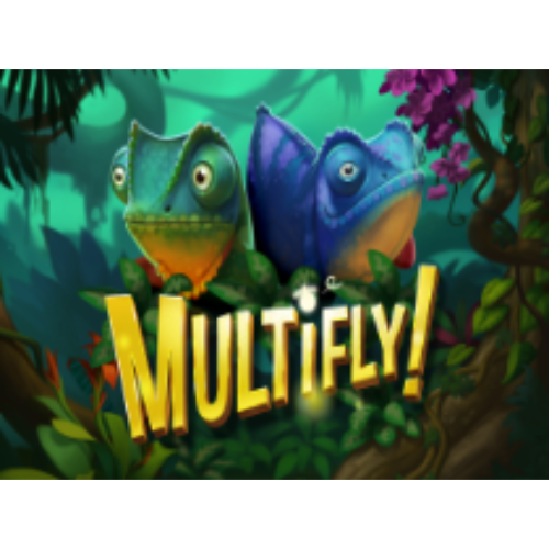 Multifly!
