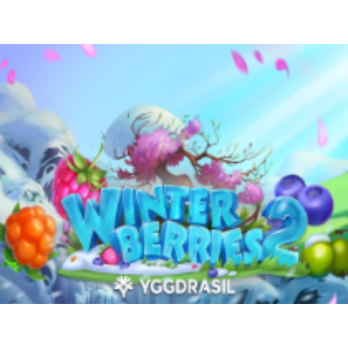 Winterberries 2