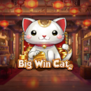 Big Win Cat
