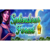 Splendour Forest